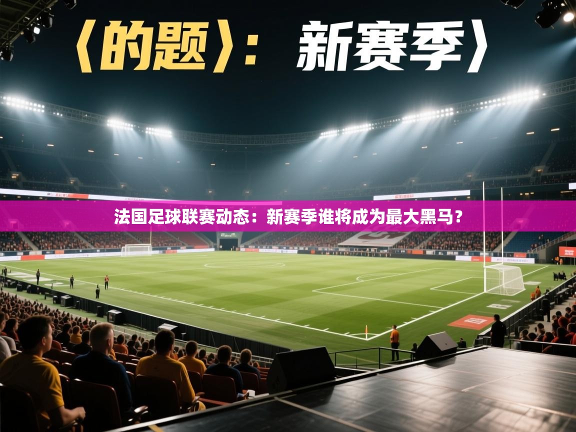 法国足球联赛动态：新赛季谁将成为最大黑马？  第2张