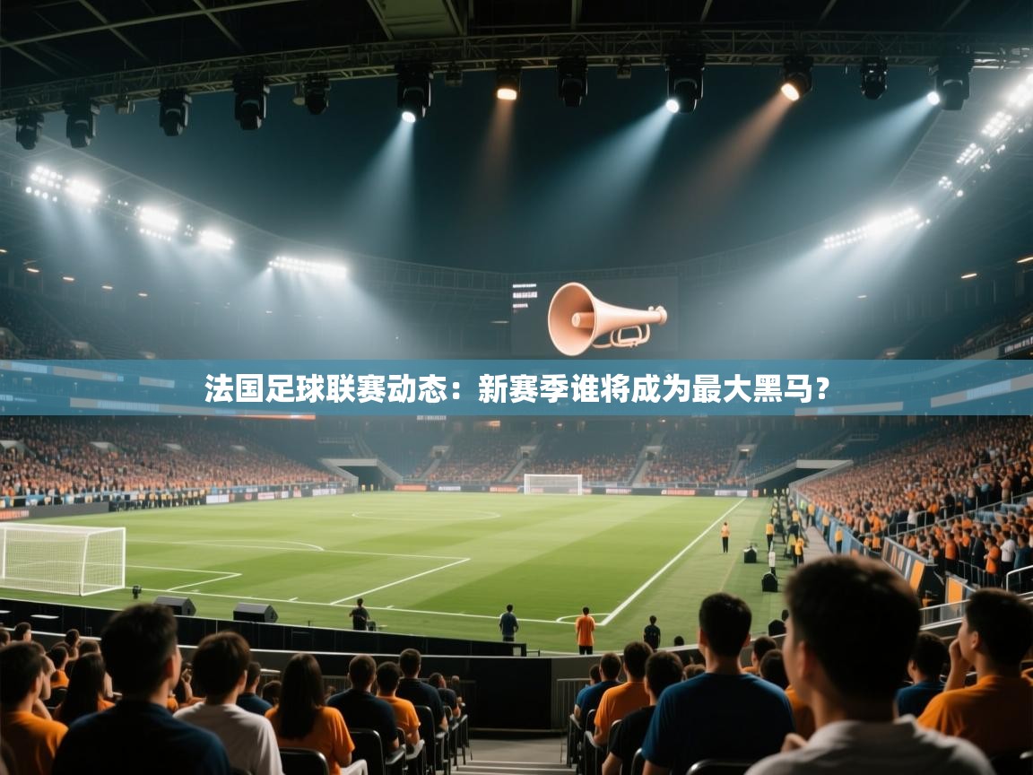 法国足球联赛动态：新赛季谁将成为最大黑马？  第1张