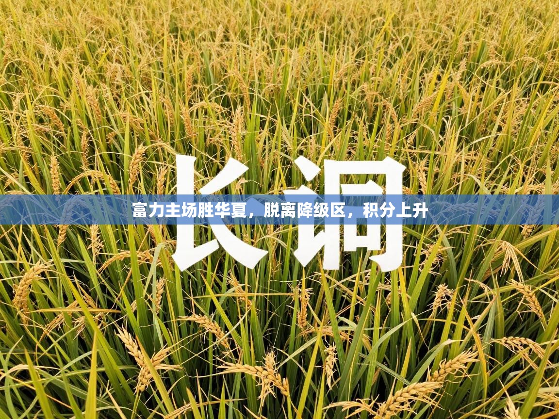 富力主场胜华夏，脱离降级区，积分上升  第2张